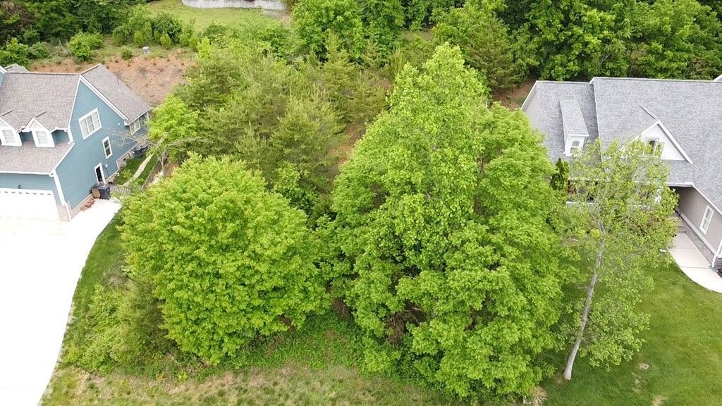 449 Laurel Ridge Lane Knoxville, TN 37922 - Photo 13 of 16