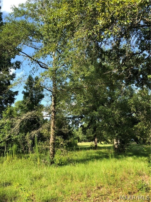 75 County Road 10 Samson, AL 36477 - Photo 5 of 11 Gallery Image 5