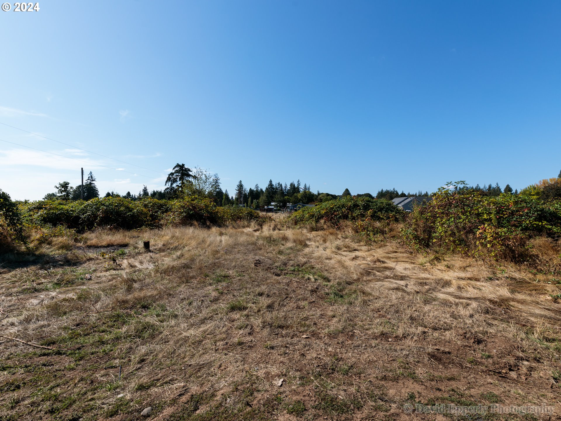 0 Morse Road Warren, OR 97053 - Photo 4 of 11 Gallery Image 4