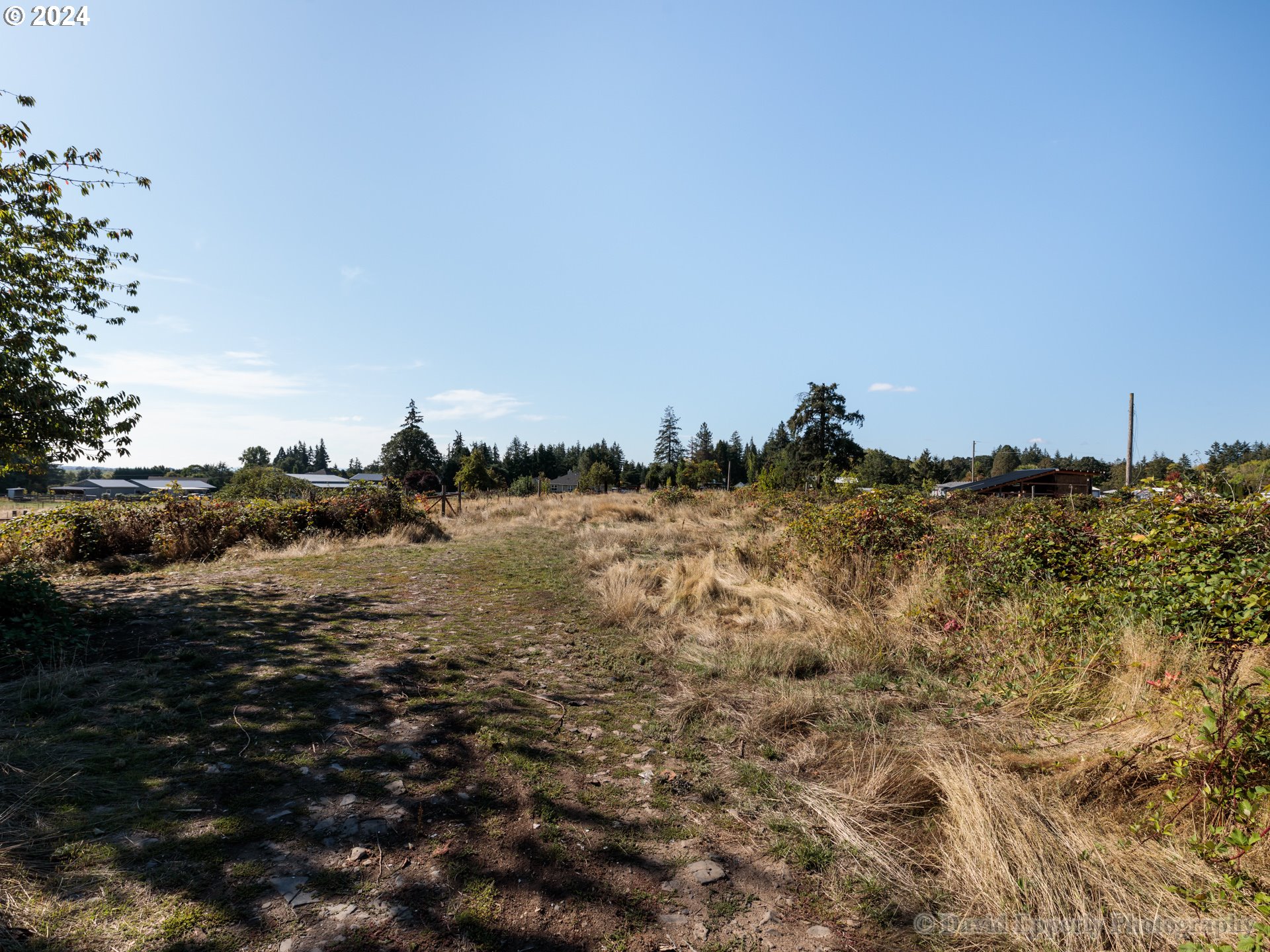0 Morse Road Warren, OR 97053 - Photo 5 of 11 Gallery Image 5