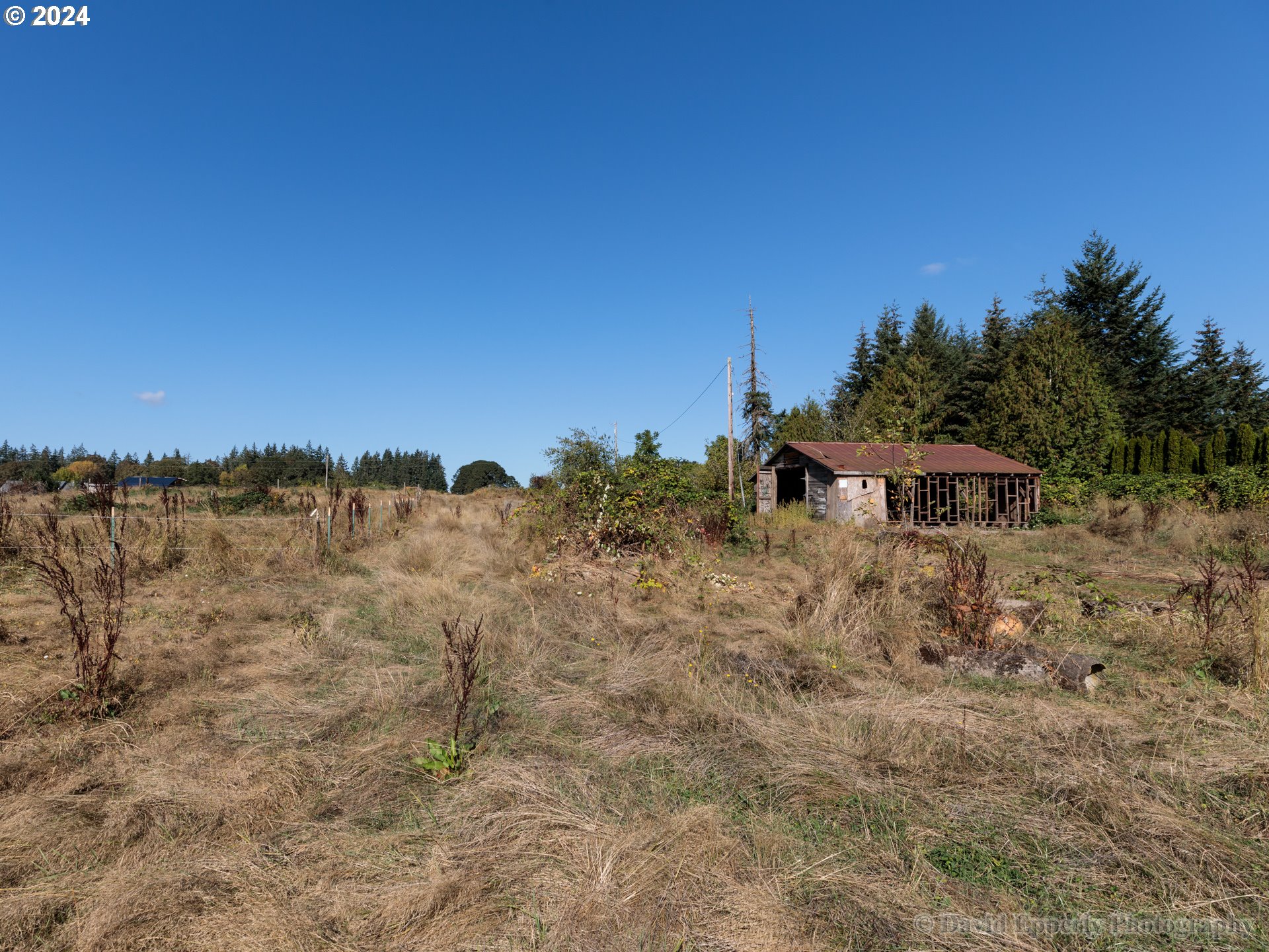 0 Morse Road Warren, OR 97053 - Photo 7 of 11 Gallery Image 7