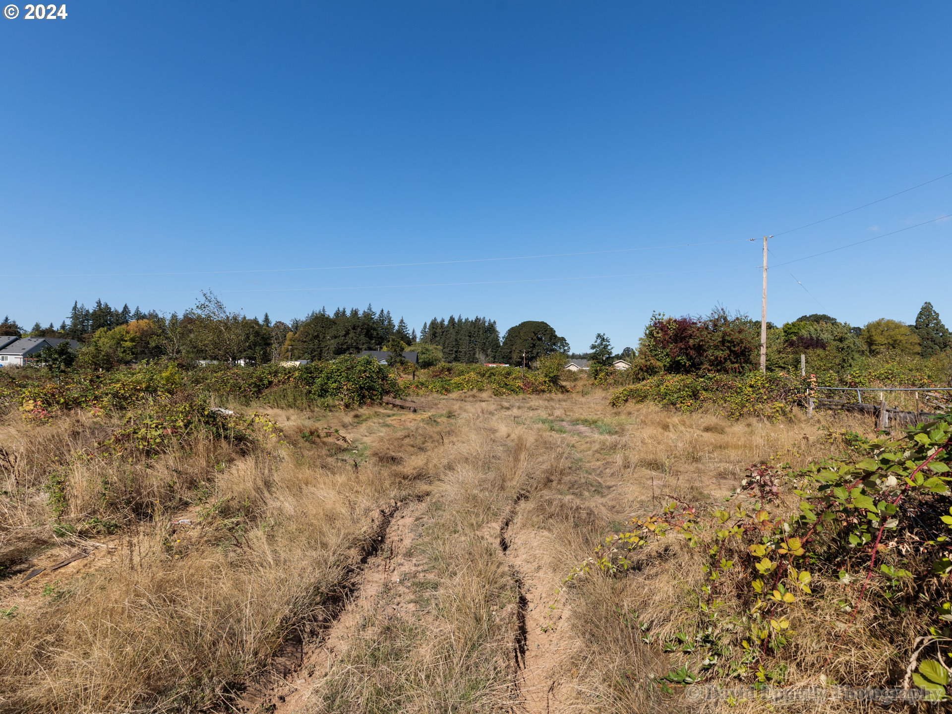 0 Morse Road Warren, OR 97053 - Photo 8 of 11 Gallery Image 8