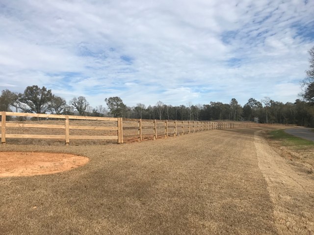 0 Fortner Street Dothan, AL 36301 - Photo 1 of 1