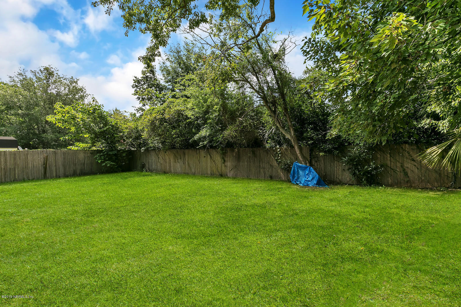 7464 Centauri Road Jacksonville, FL 32210 - Photo 15 of 15 a view of a yard with a tree