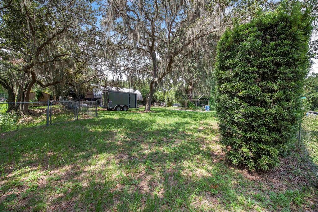 6648 Cherry Pocket Road Lake Wales, FL 33898 - Photo 11 of 12 a view of a park with large trees