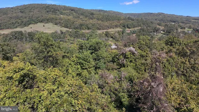 a view of a mountain in the distance in a field