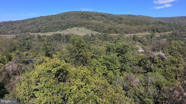 a view of a mountain in the distance in a field
