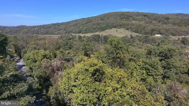 a view of a large mountain range with trees in the background