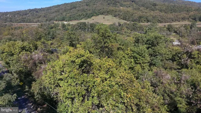 a view of a dry yard with green space