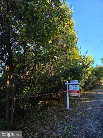 a bench sitting in the middle of a forest
