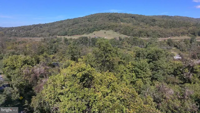 a view of a mountain in the distance in a field