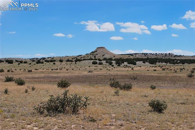 Red Top Ranch Road Fowler, CO 81039 - Photo 6 of 17 Gallery Image 6