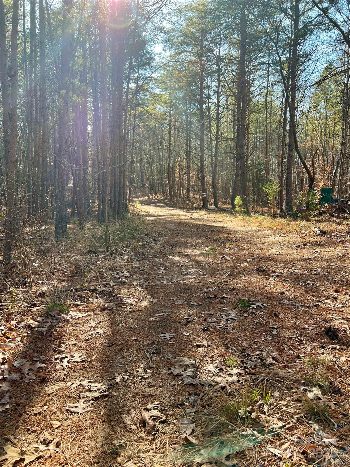 0 Nimitz Road Smyrna, SC 29743 - Photo 6 of 7