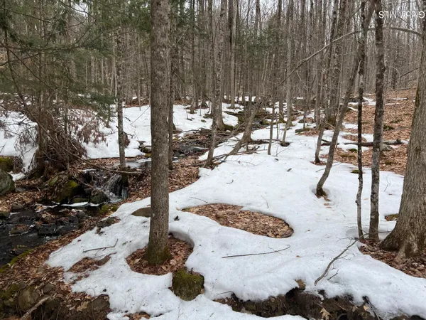 $168,000 | 277 Roaring Branch Road, Stony Creek, NY 12878