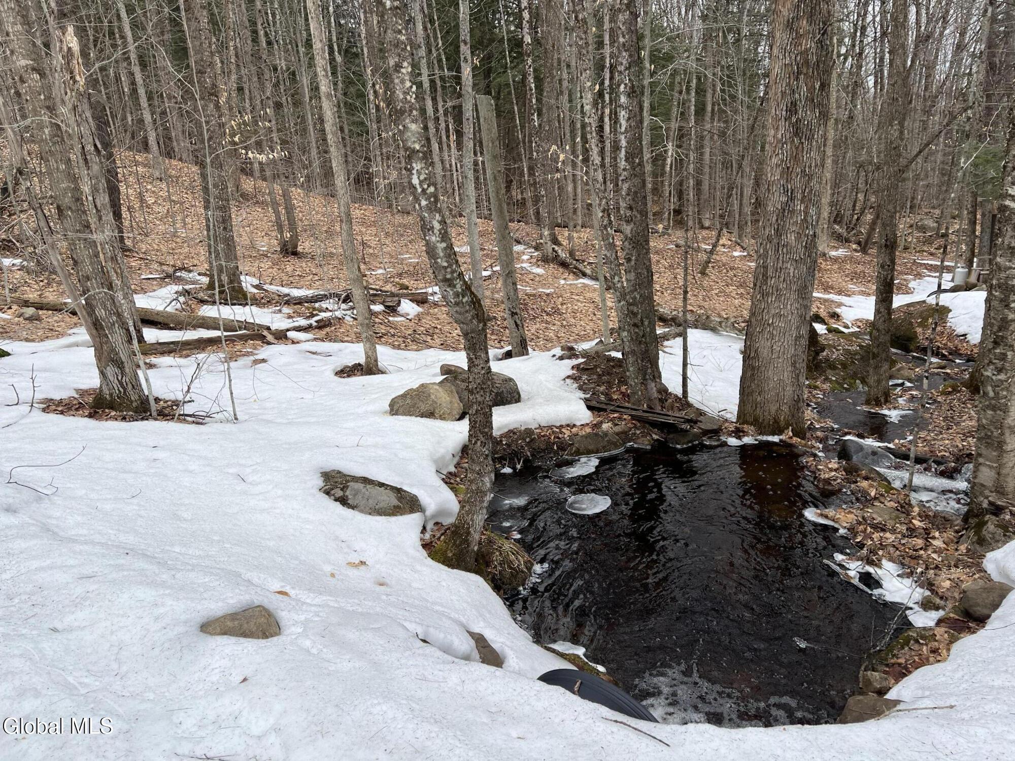 277 Roaring Branch Road Stony Creek, NY 12878 - Photo 2 of 5 IMG_1052