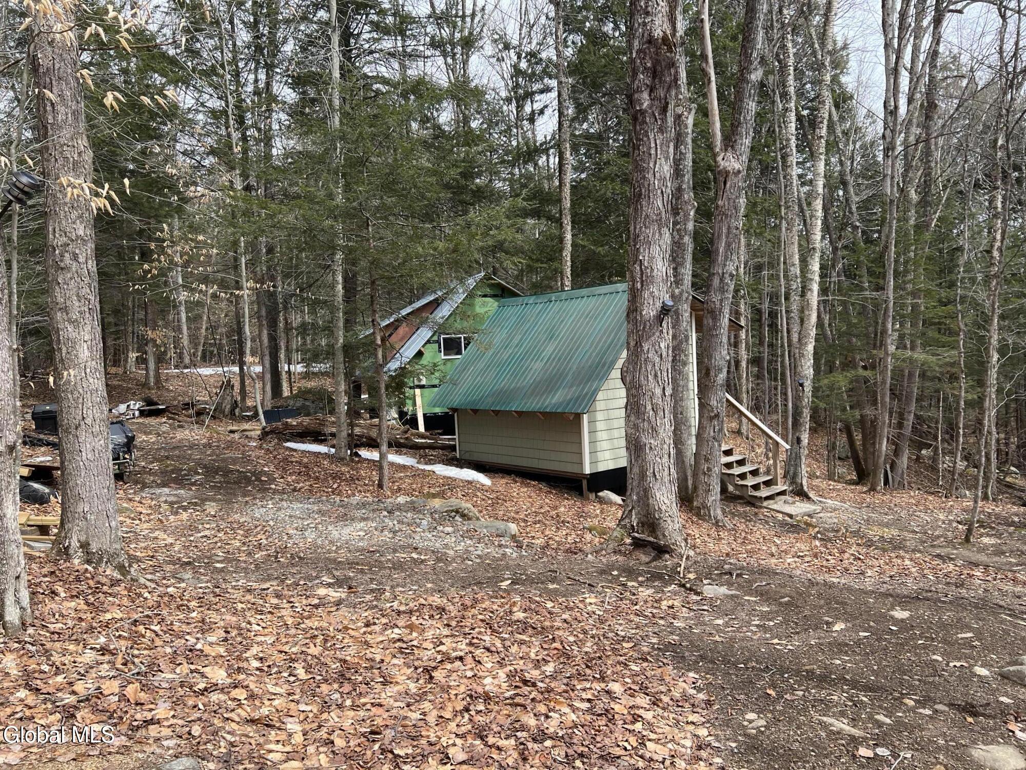 277 Roaring Branch Road Stony Creek, NY 12878 - Photo 3 of 5 IMG_1055