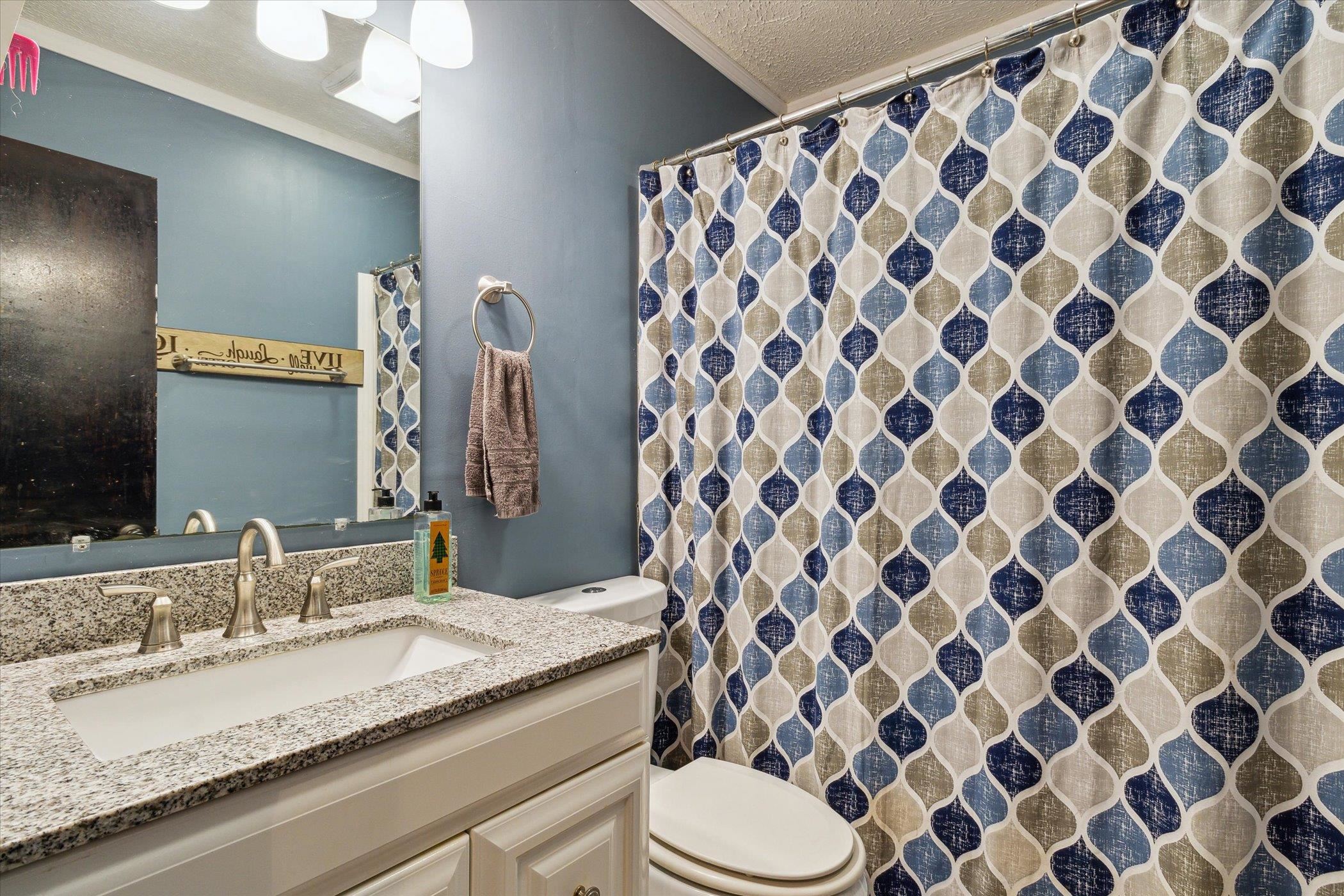 11870 Hunter Road Bath, MI 48808 - Photo 23 of 41
