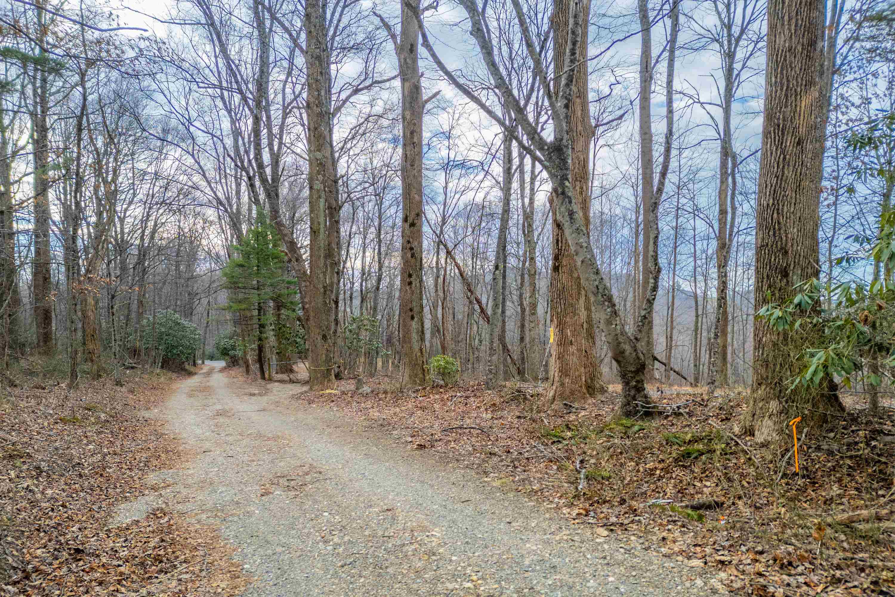 608 Blue Ridge Pkwy Road Fancy Gap, VA 24328 - Photo 11 of 49 Gallery Image 11