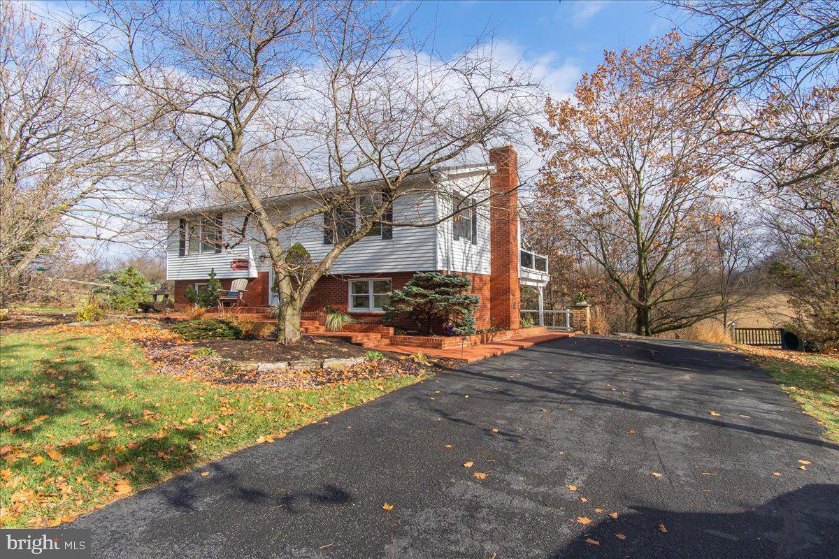11701 Walnut Point Road Hagerstown, MD 21740 - Photo 5 of 56 a street view with large trees