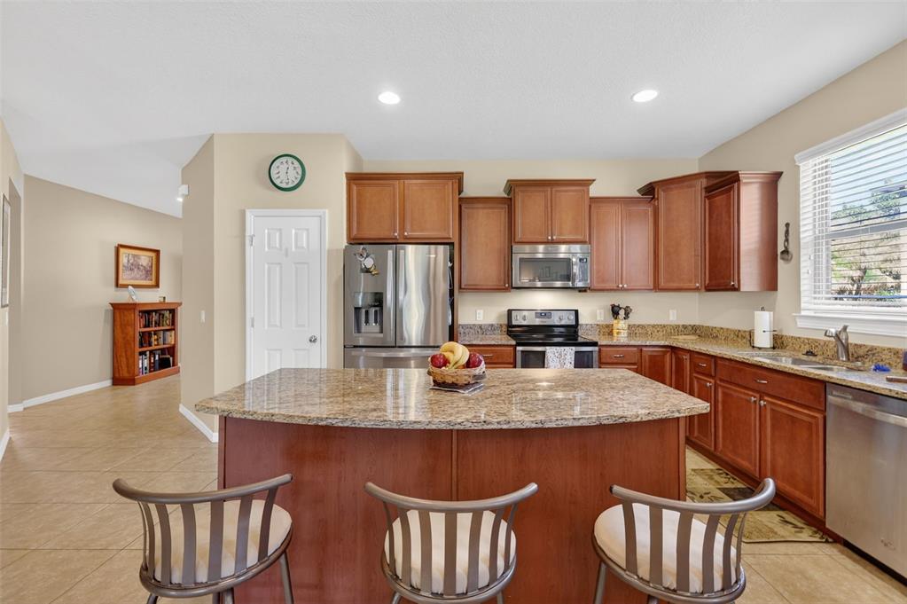 30112 Kladruby Point Mount Dora, FL 32757 - Photo 16 of 48 Gallery Image 16