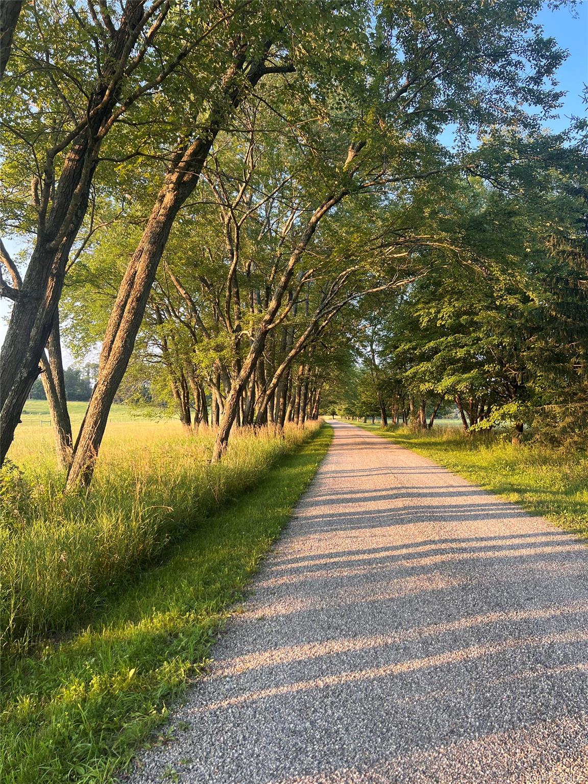 2039 Salt Point Turnpike Salt Point, NY 12578 - Photo 28 of 45 View of dirt / gravel road