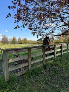 $3,500,000 | 2039 Salt Point Turnpike, Salt Point, NY 12578