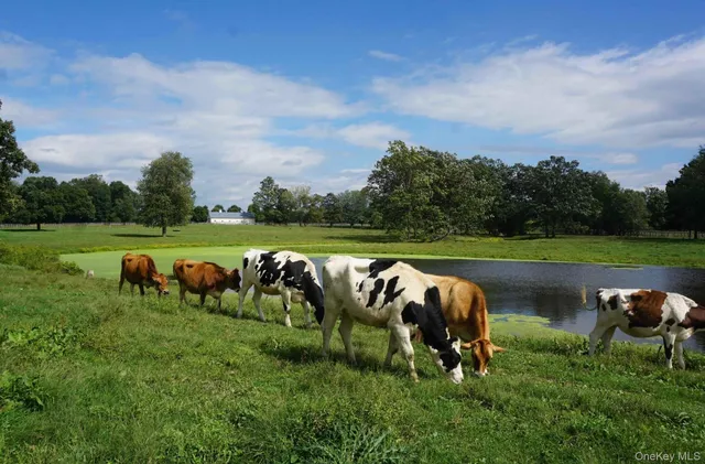 $3,500,000 | 2039 Salt Point Turnpike, Salt Point, NY 12578