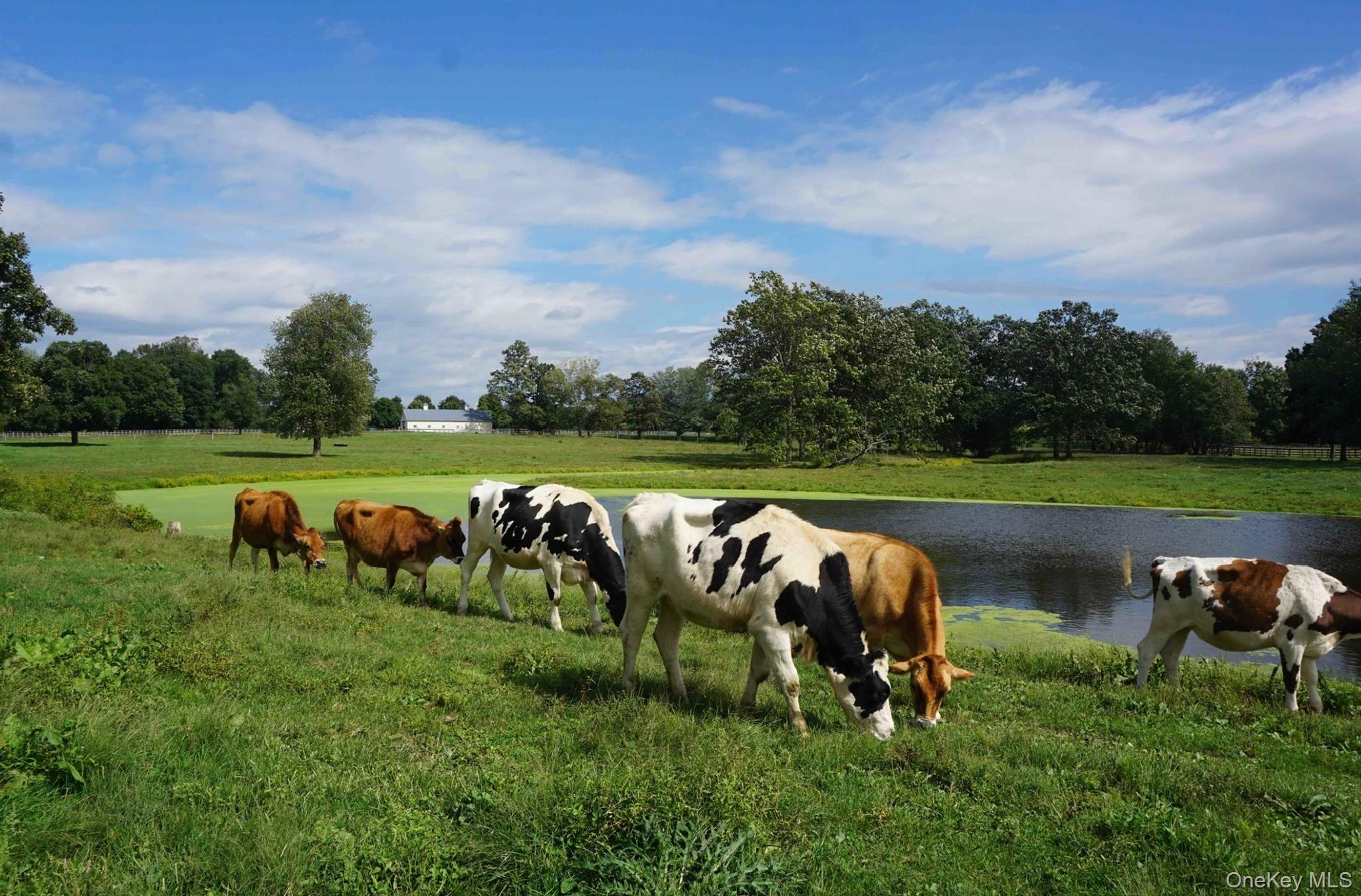 2039 Salt Point Turnpike Salt Point, NY 12578 - Photo 30 of 45