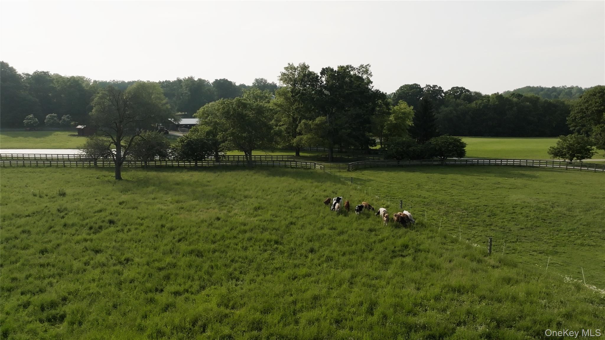 2039 Salt Point Turnpike Salt Point, NY 12578 - Photo 3 of 45 View of yard with a view of rural / pastoral area, an enclosed horse arena, and a forest view