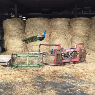 $3,500,000 | 2039 Salt Point Turnpike, Salt Point, NY 12578