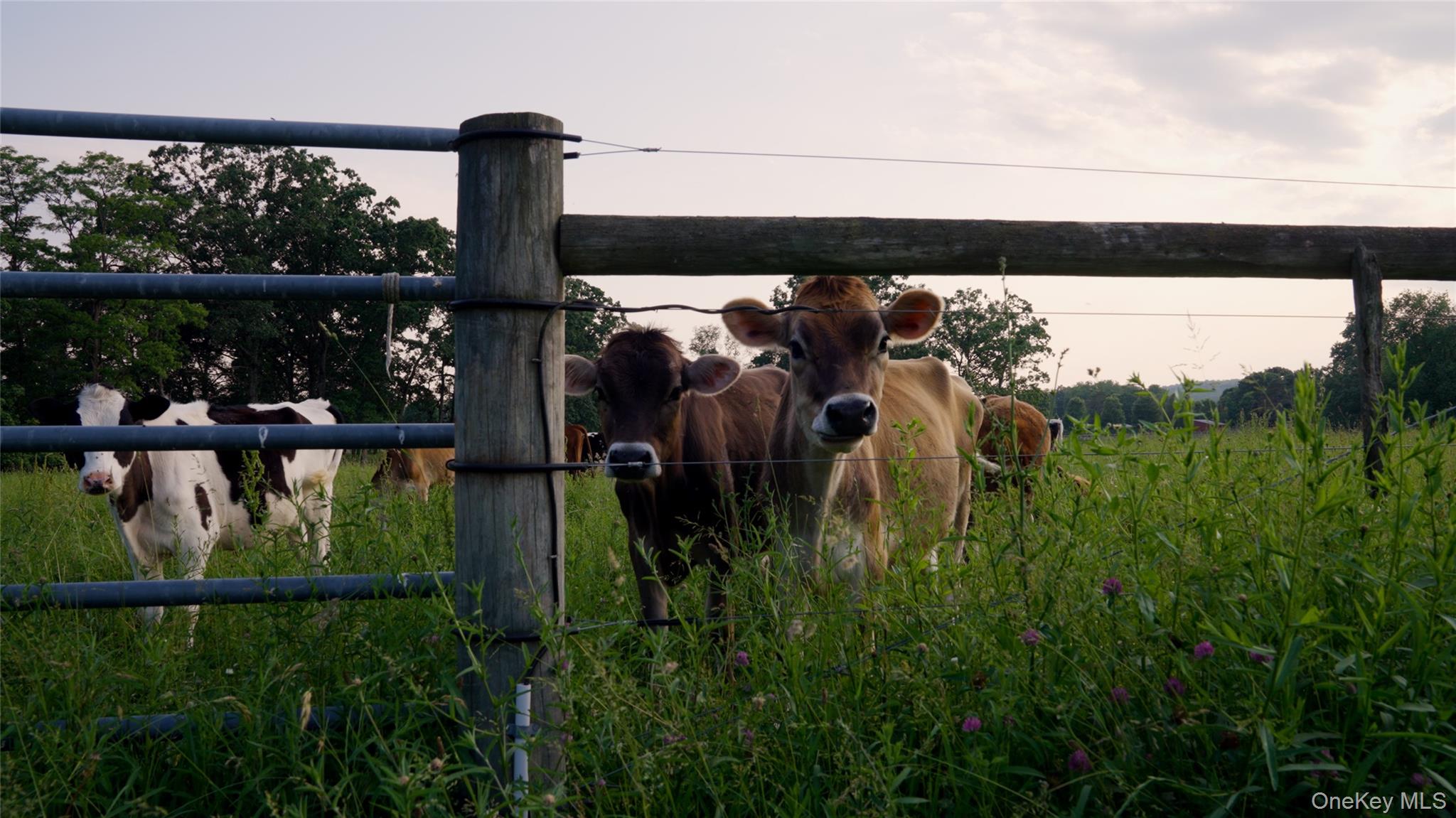 2039 Salt Point Turnpike Salt Point, NY 12578 - Photo 6 of 45 Exterior view