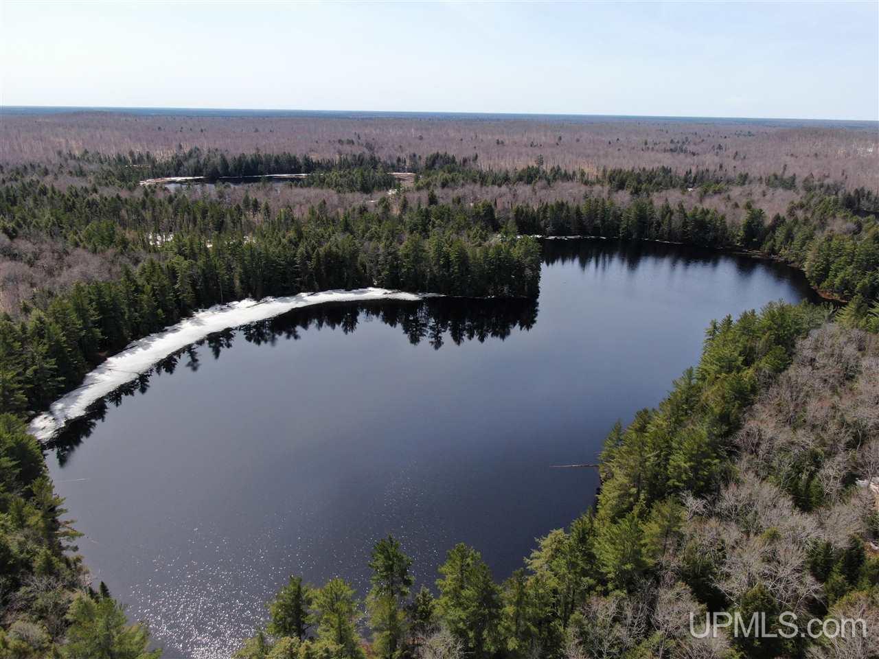0 Old Seney Road Seney, MI 49883 - Photo 1 of 31