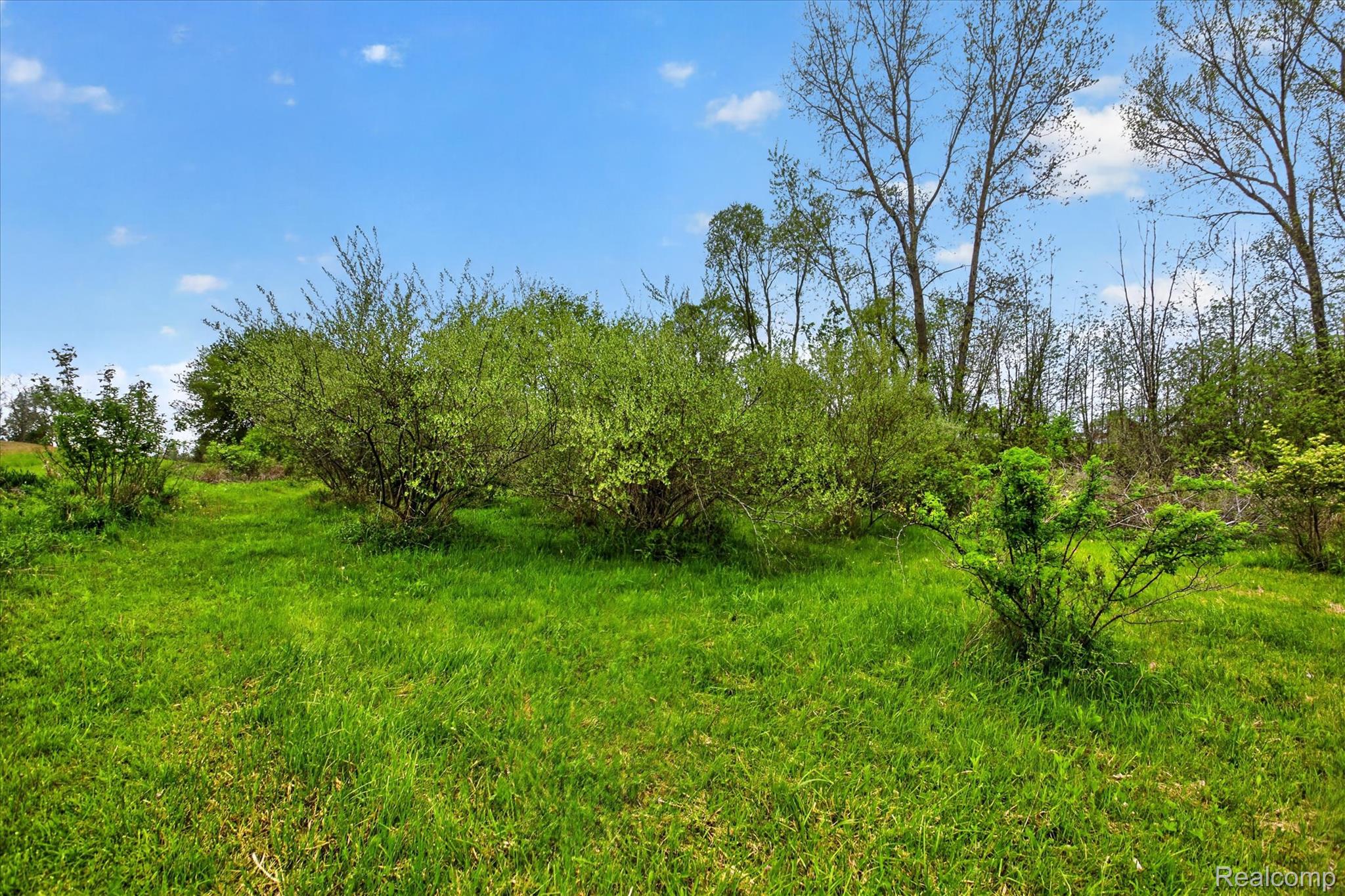 7950 Mayville Road Marlette, MI 48453 - Photo 31 of 50 31-7950-Mayville-Rd-WindowStill.jpg