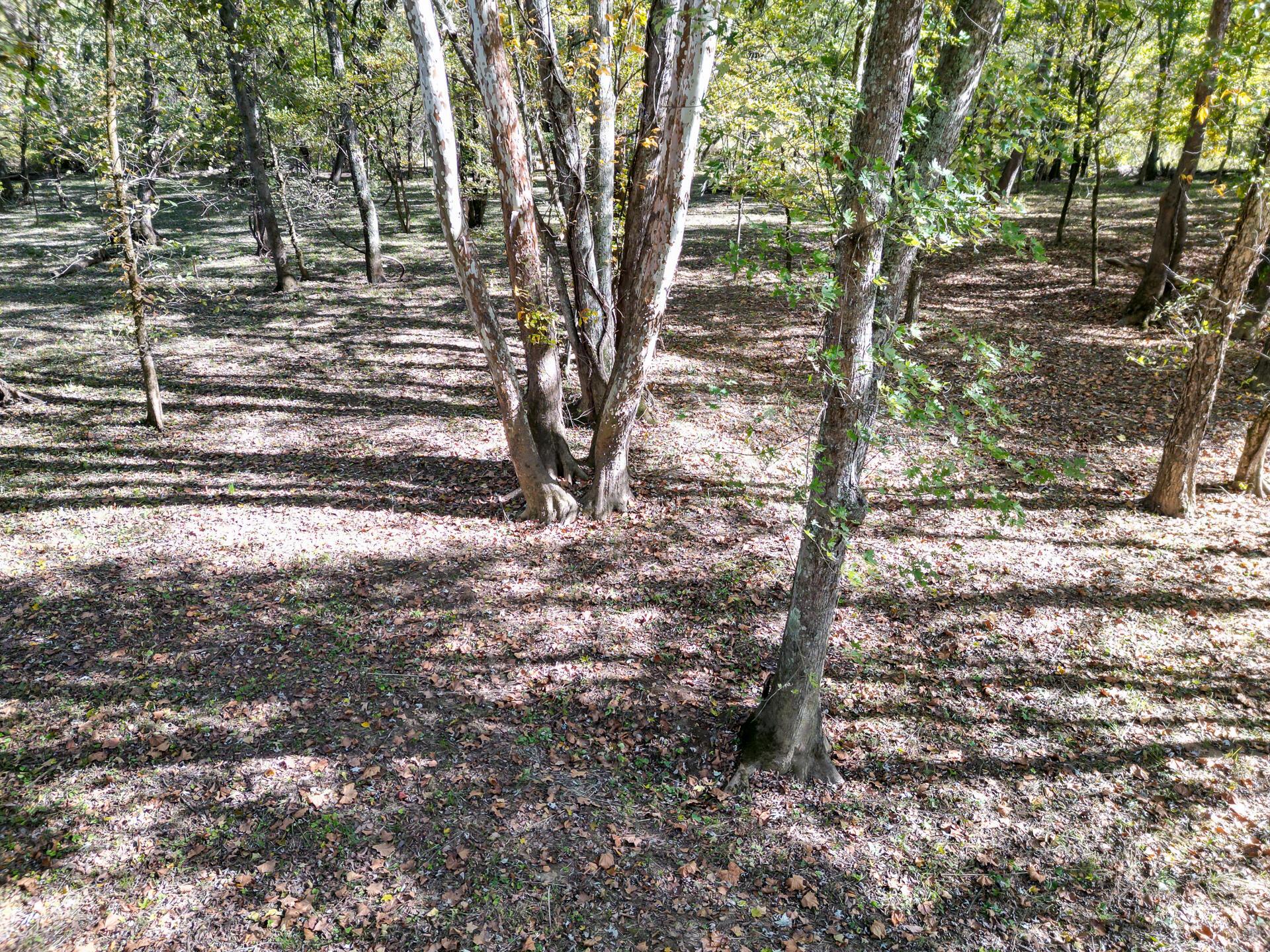 1462 Keystone Road, Unit RACCOON CREEK ADVENTURES) Vinton, OH 45686 - Photo 58 of 69