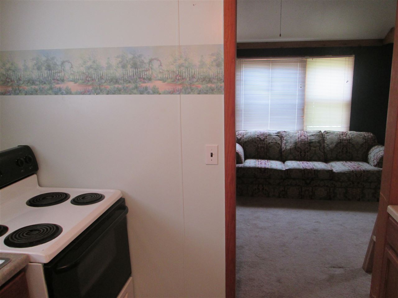 6287 Fletcher Road Southeast Fife Lake, MI 49633 - Photo 11 of 29 1803707-10.JPG