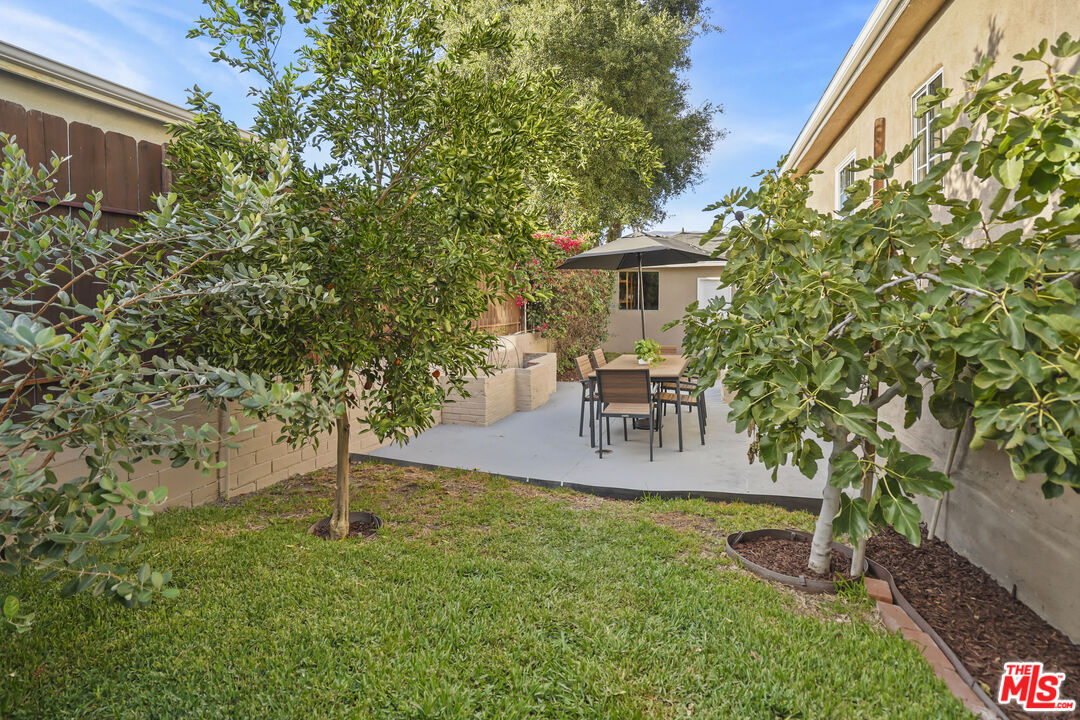 10129 Plainview Avenue Tujunga, CA 91042 - Photo 35 of 51 a view of outdoor space yard and patio