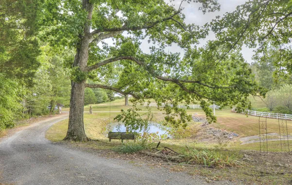 $1,600,000 | 241 Glen Holliday Road, Indian Mound, TN 37079