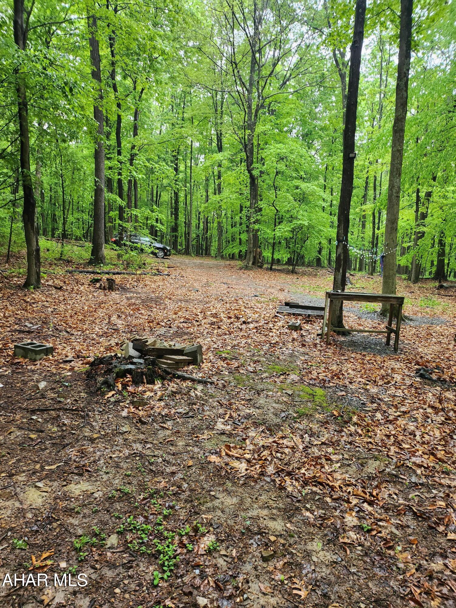 0 Mosquito Hollow Road Six Mile Run, PA 16679 - Photo 2 of 29