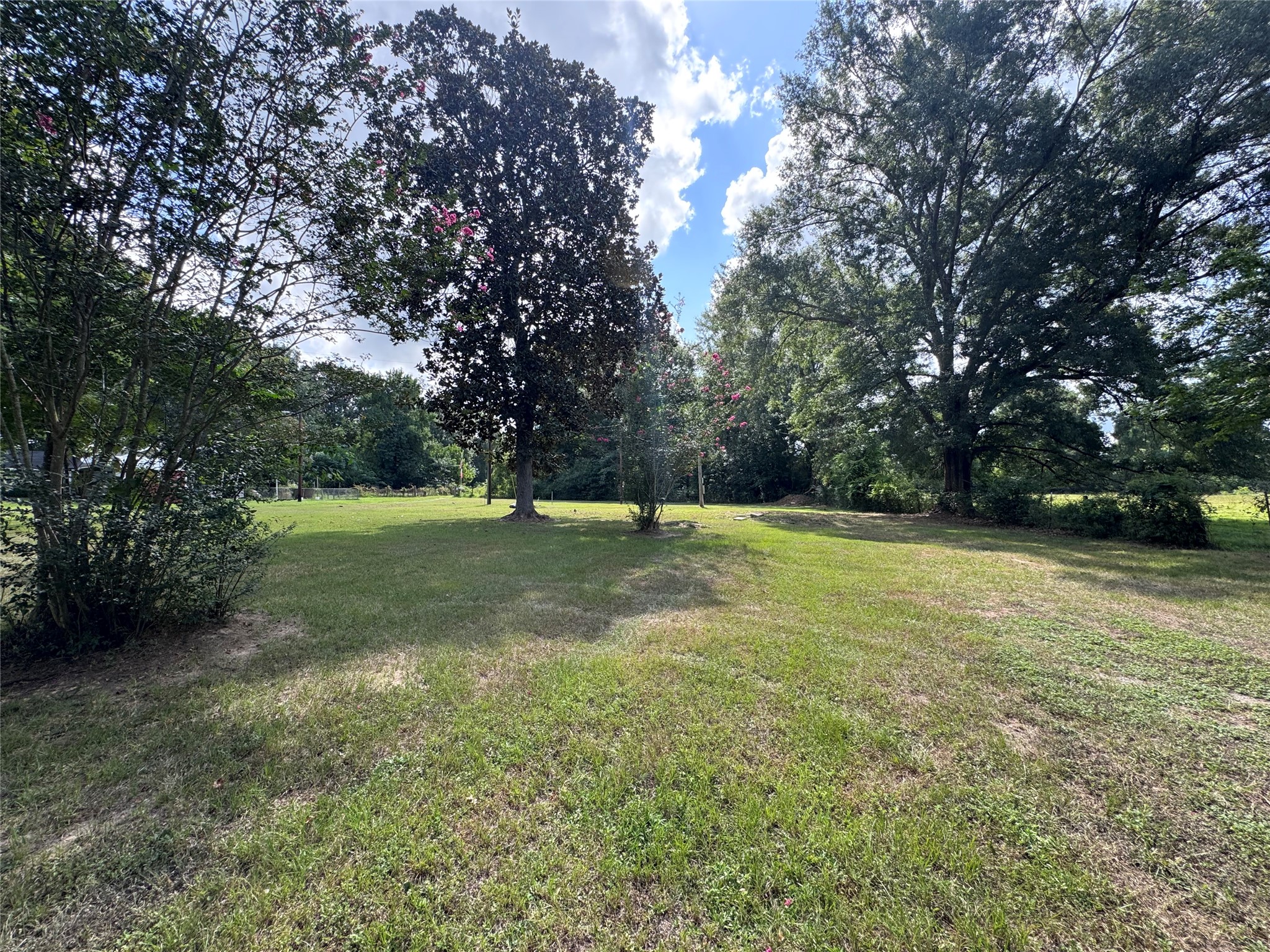 View from front of Property- several mature trees!