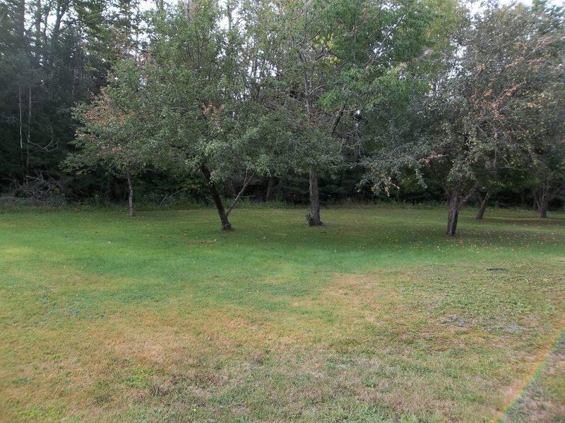 1350 Ridge Road Pembroke, ME 04666 - Photo 9 of 20 Photo