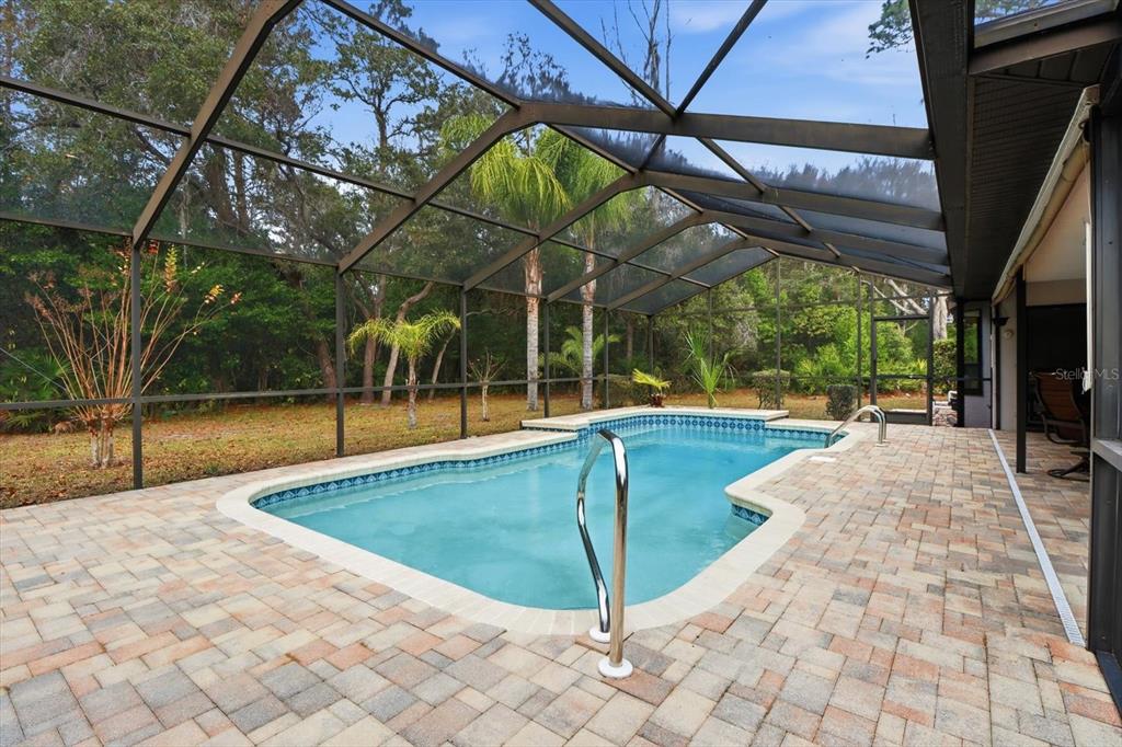 22 Mastic Court West Homosassa, FL 34446 - Photo 39 of 46 a view of a swimming pool with a patio