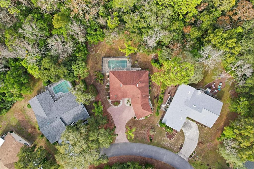 22 Mastic Court West Homosassa, FL 34446 - Photo 44 of 46 an aerial view of a house with outdoor space and street view