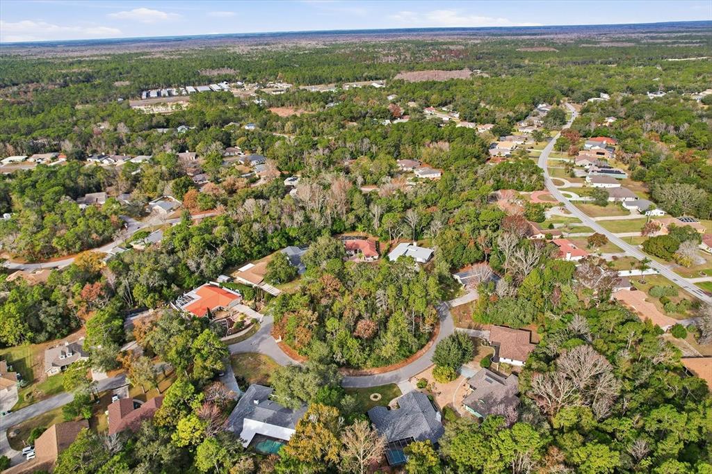 22 Mastic Court West Homosassa, FL 34446 - Photo 45 of 46 an aerial view of a houses with a lush green hillside