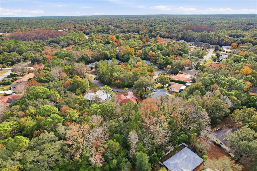 22 Mastic Court West Homosassa, FL 34446 - Photo 46 of 46 an aerial view of a houses with a lush green hillside