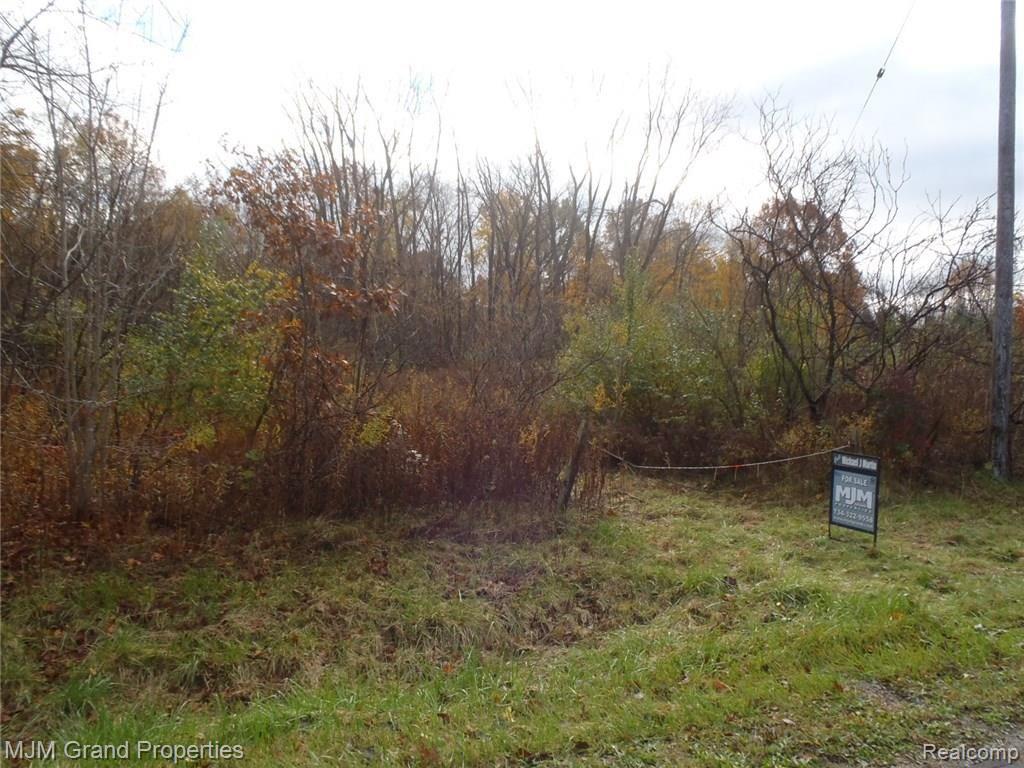 Vacant Tuttle Hill Road Milan, MI 48160 - Photo 2 of 6