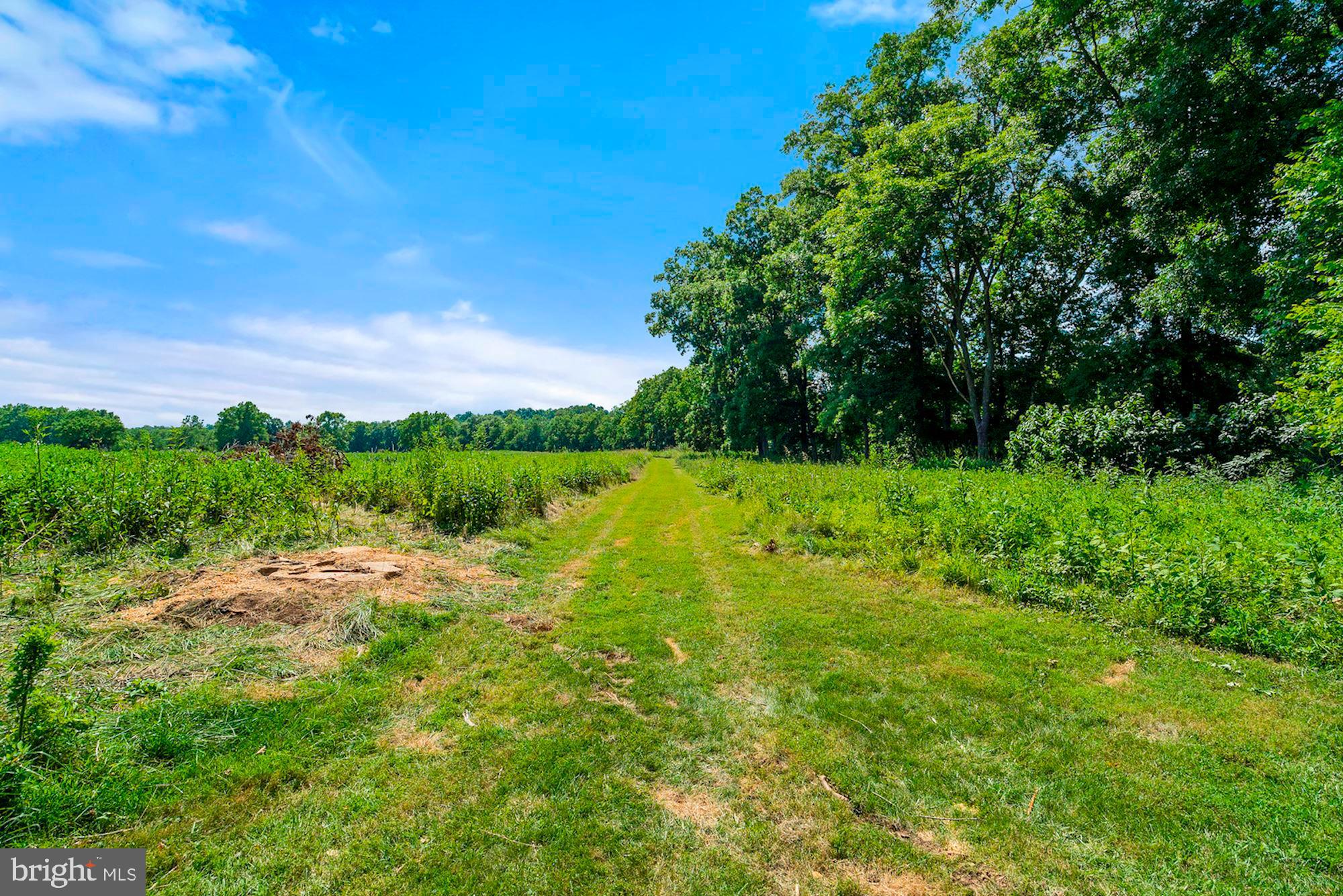 Eagle Point Boyce, VA 22620 - Photo 6 of 14