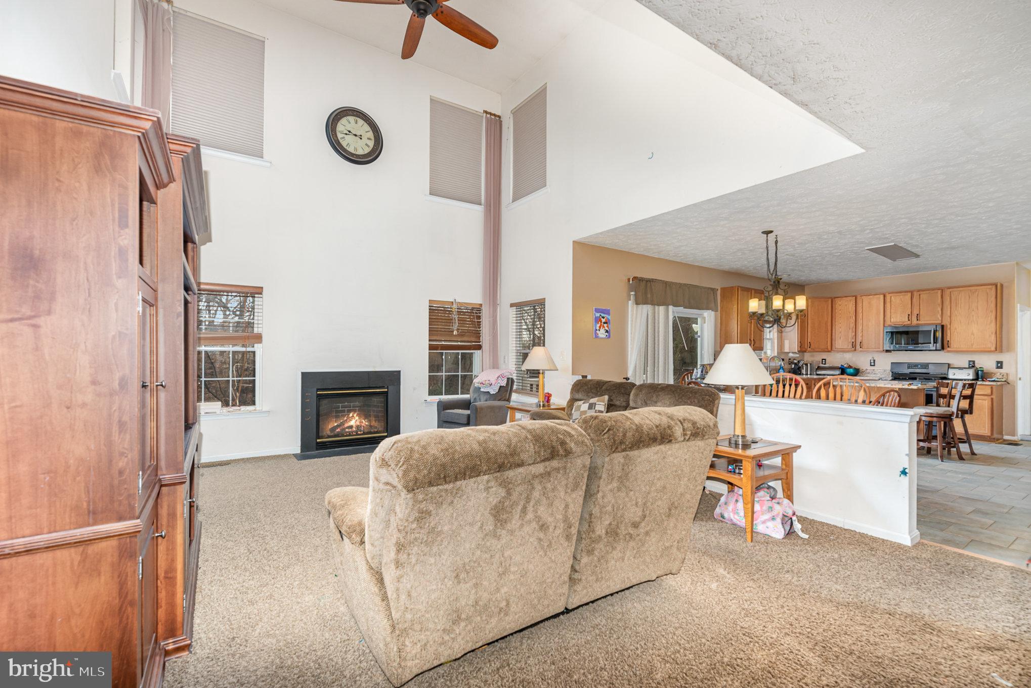 145 West Heather Road Bel Air, MD 21014 - Photo 11 of 47 a living room with furniture and a fireplace