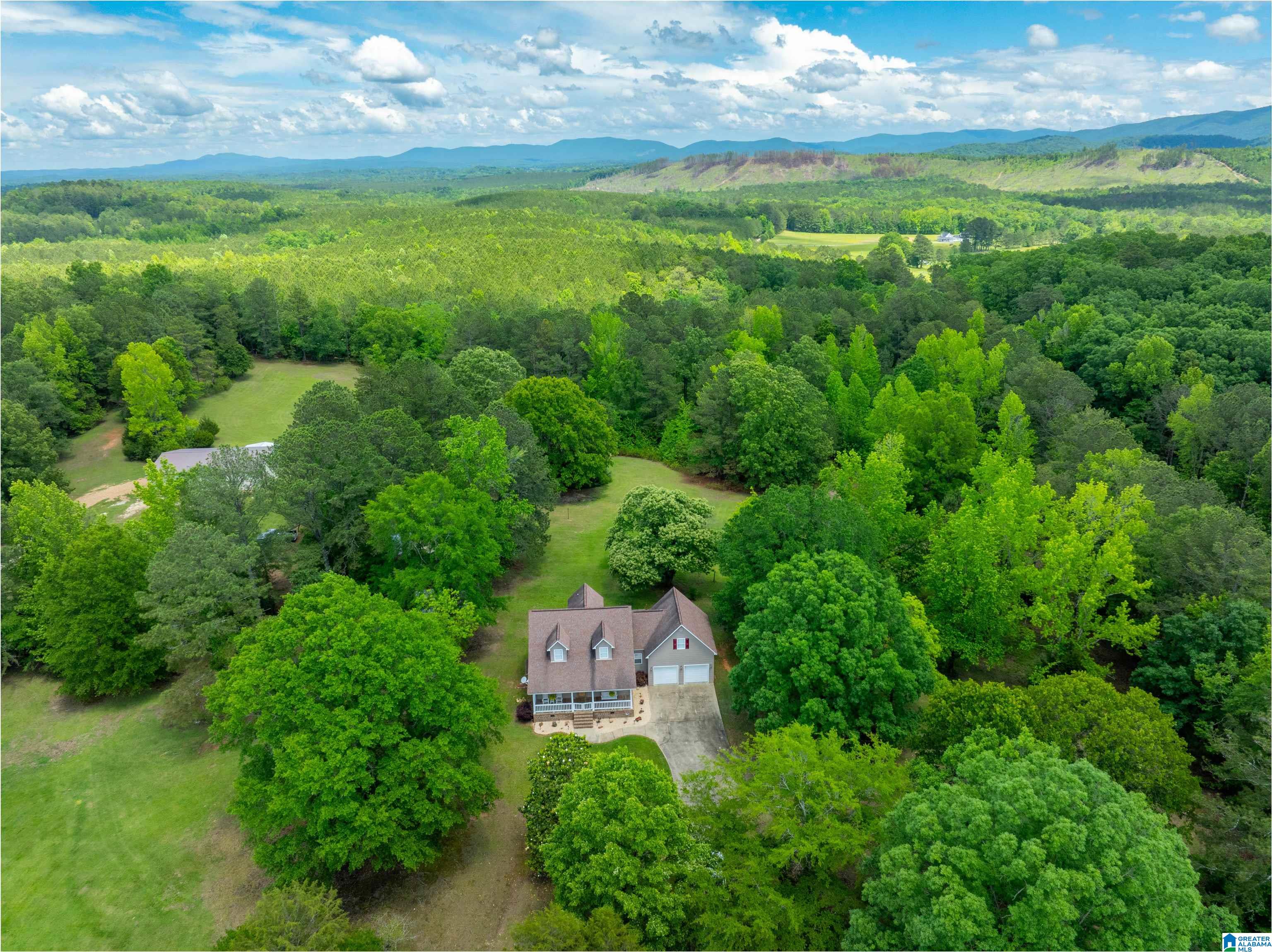 36 Woodlawn Road Piedmont, AL 36272 - Photo 43 of 53