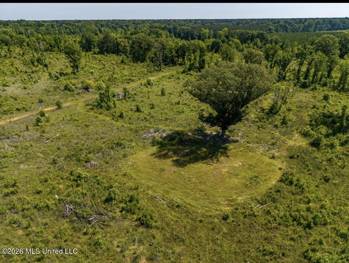 0 East Doc Clark Road Morton, MS 39117 - Photo 17 of 18 IMG_2975