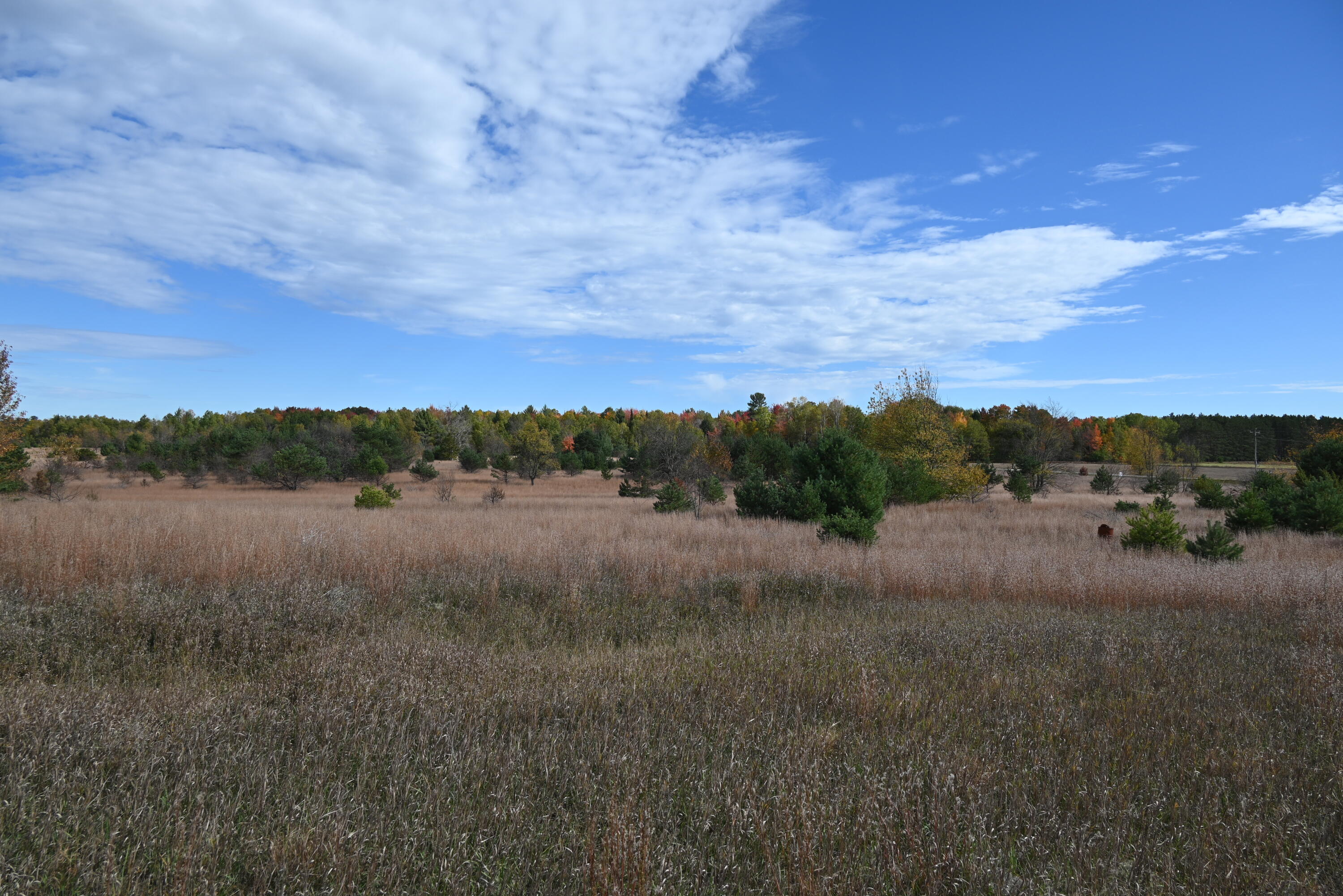 0 Motz Road Southwest Kalkaska, MI 49646 - Photo 4 of 5 DSC_0790